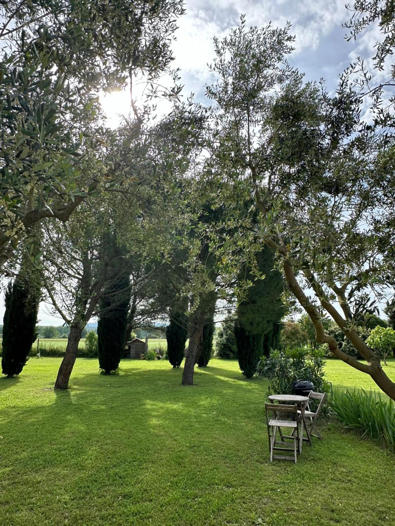 Maisonnette Independante Au Calme Dans Un Grand Jardin Châteauneuf-du-Rhône Exterior foto