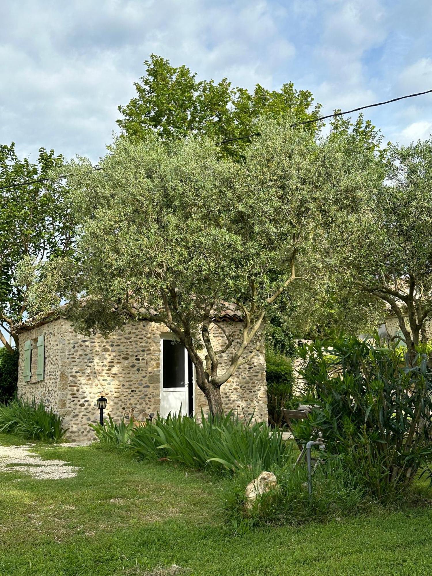 Maisonnette Independante Au Calme Dans Un Grand Jardin Châteauneuf-du-Rhône Exterior foto